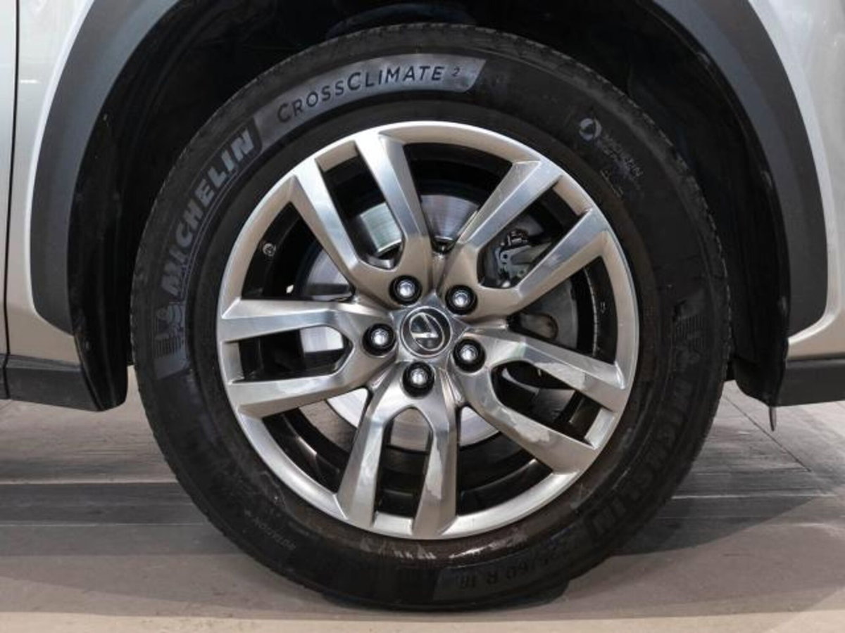 Lexus NX Hybrid (8)