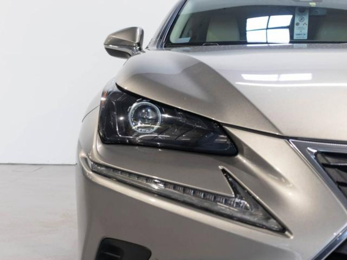 Lexus NX Hybrid (9)