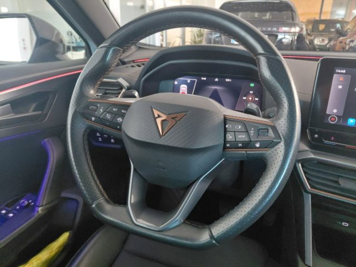 Cupra Formentor Formentor 2.0 tdi 4drive 150cv dsg (14)