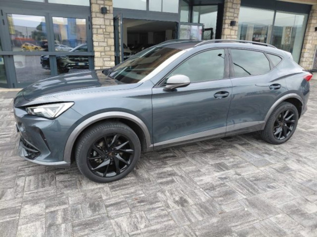 Cupra Formentor Formentor 2.0 tdi 4drive 150cv dsg