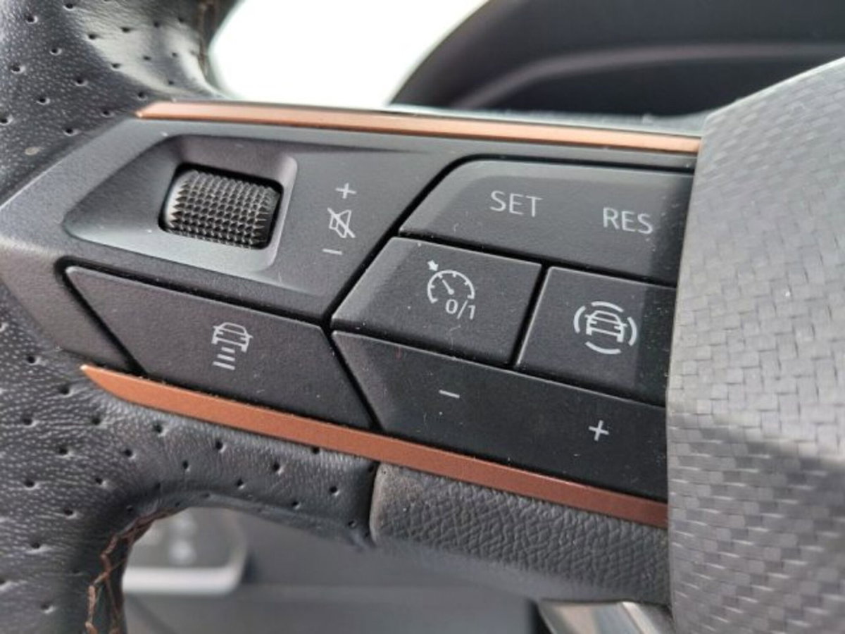 Cupra Formentor Formentor 2.0 tdi 4drive 150cv dsg (14)