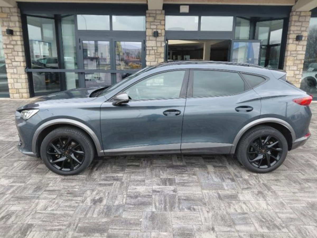 Cupra Formentor Formentor 2.0 tdi 4drive 150cv dsg (2)