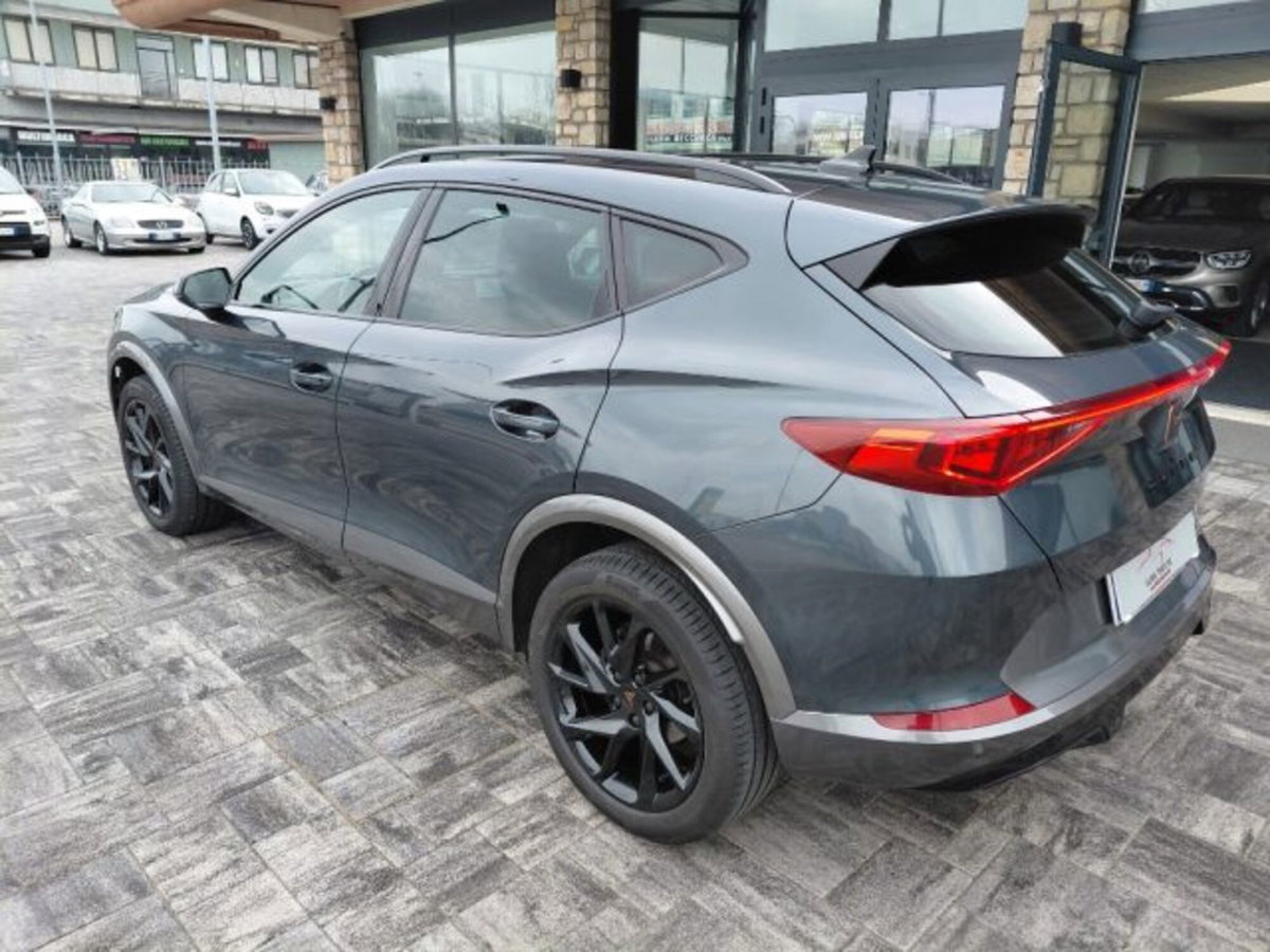 Cupra Formentor Formentor 2.0 tdi 4drive 150cv dsg (3)