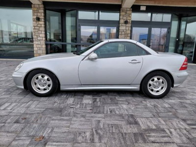 Mercedes-Benz SLK 200 Kompressor cat Special Edition (2)