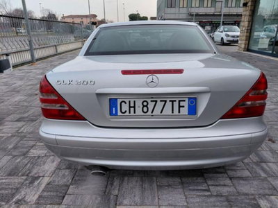 Mercedes-Benz SLK 200 Kompressor cat Special Edition (4)