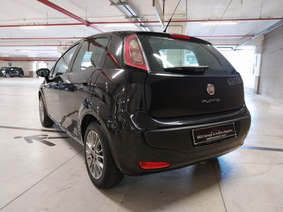 Fiat Punto Evo 1.2 5 porte S&S Dynamic (10)