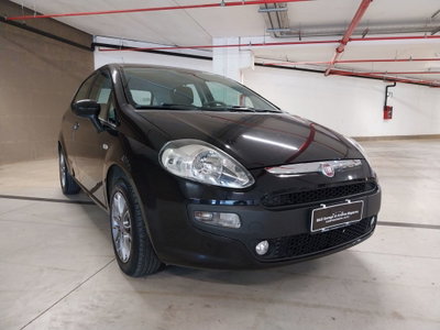 Fiat Punto Evo 1.2 5 porte S&S Dynamic (3)