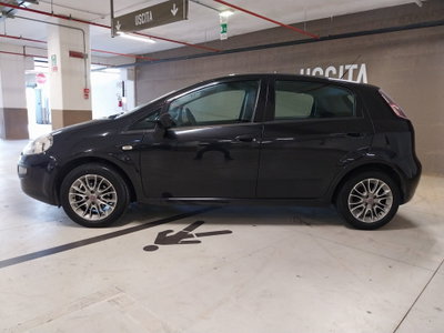 Fiat Punto Evo 1.2 5 porte S&S Dynamic (7)