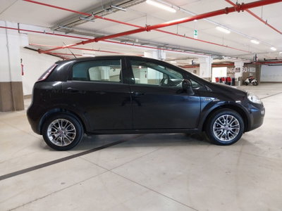 Fiat Punto Evo 1.2 5 porte S&S Dynamic (8)