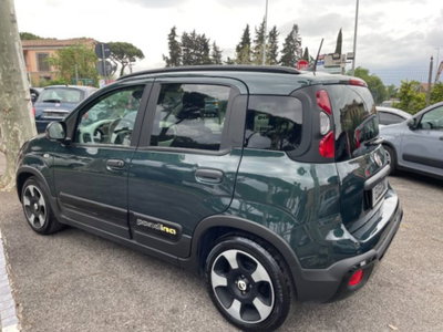 Fiat Panda Cross 1.0 firefly hybrid Cross s&s 70cv 5p.ti (6)