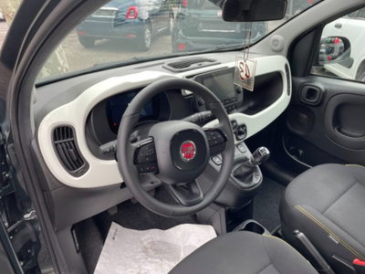 Fiat Panda Cross 1.0 firefly hybrid Cross s&s 70cv 5p.ti (8)