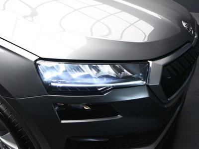 Skoda Karoq 2.0 tdi Executive 115cv (10)