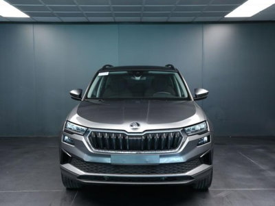 Skoda Karoq 2.0 tdi Executive 115cv (2)