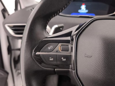 Peugeot 3008 BlueHDi 130 S&S EAT8 Active Business (14)