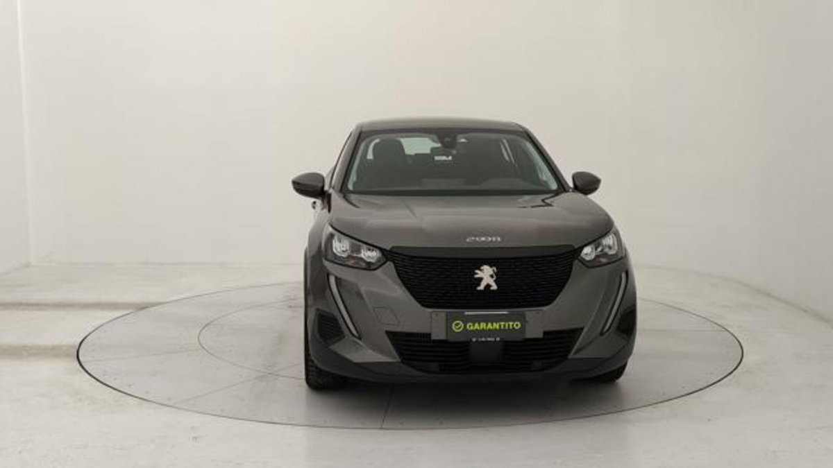 Peugeot 2008 PureTech 130 S&S Active (8)