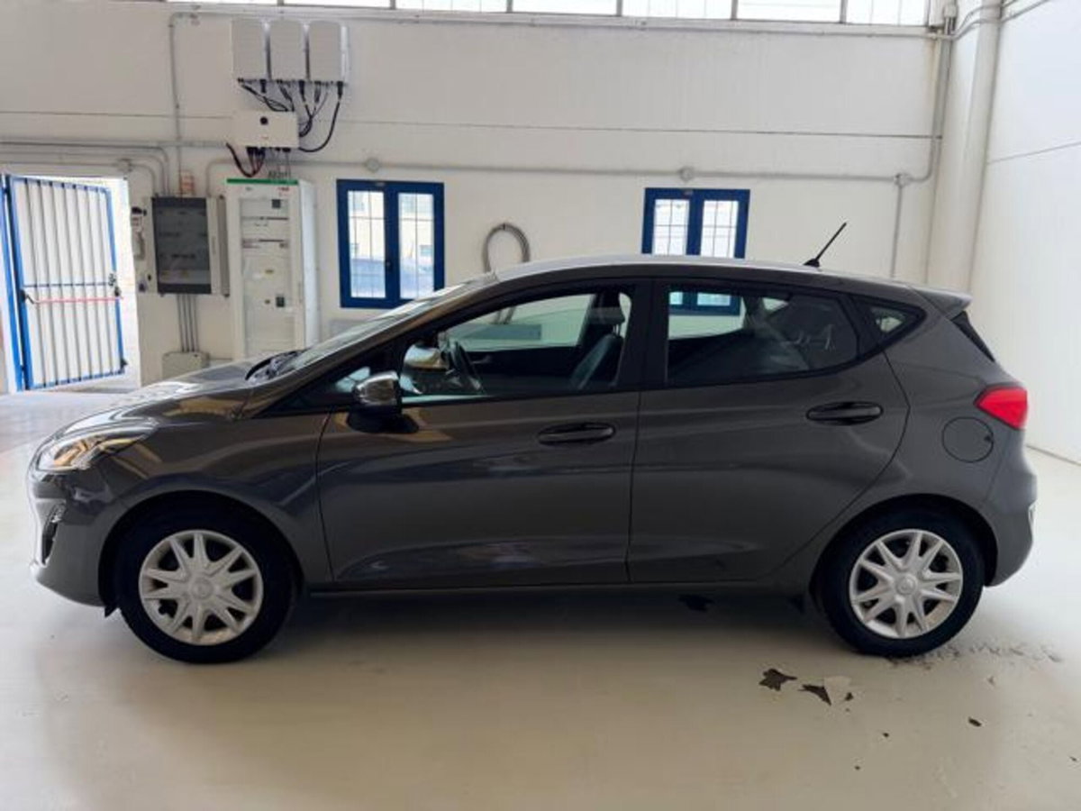 Ford Fiesta 1.1 75 CV GPL 5 porte Titanium (2)