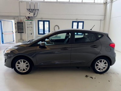 Ford Fiesta 1.1 75 CV GPL 5 porte Titanium (2)