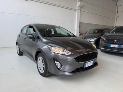 Ford Fiesta 1.1 75 CV GPL 5 porte Titanium (7)