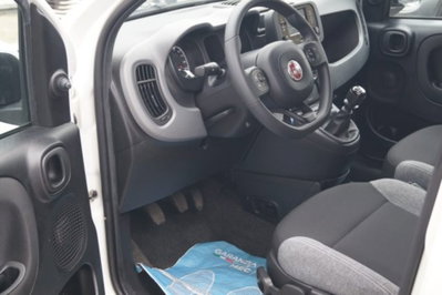 Fiat Panda 1.0 firefly hybrid s&s 70cv 5p.ti (7)