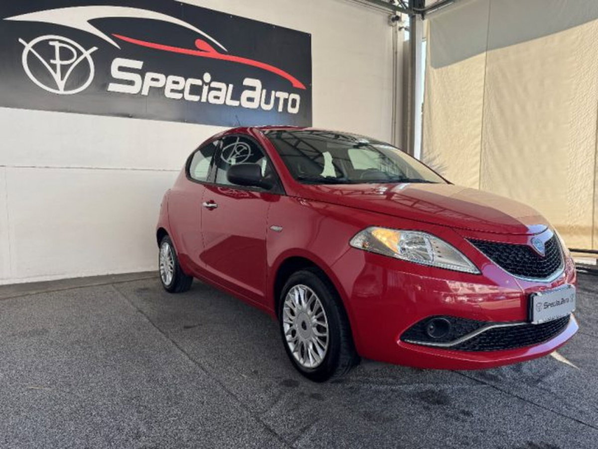 Lancia Ypsilon 1.2 69 CV 5 porte Platinum (11)