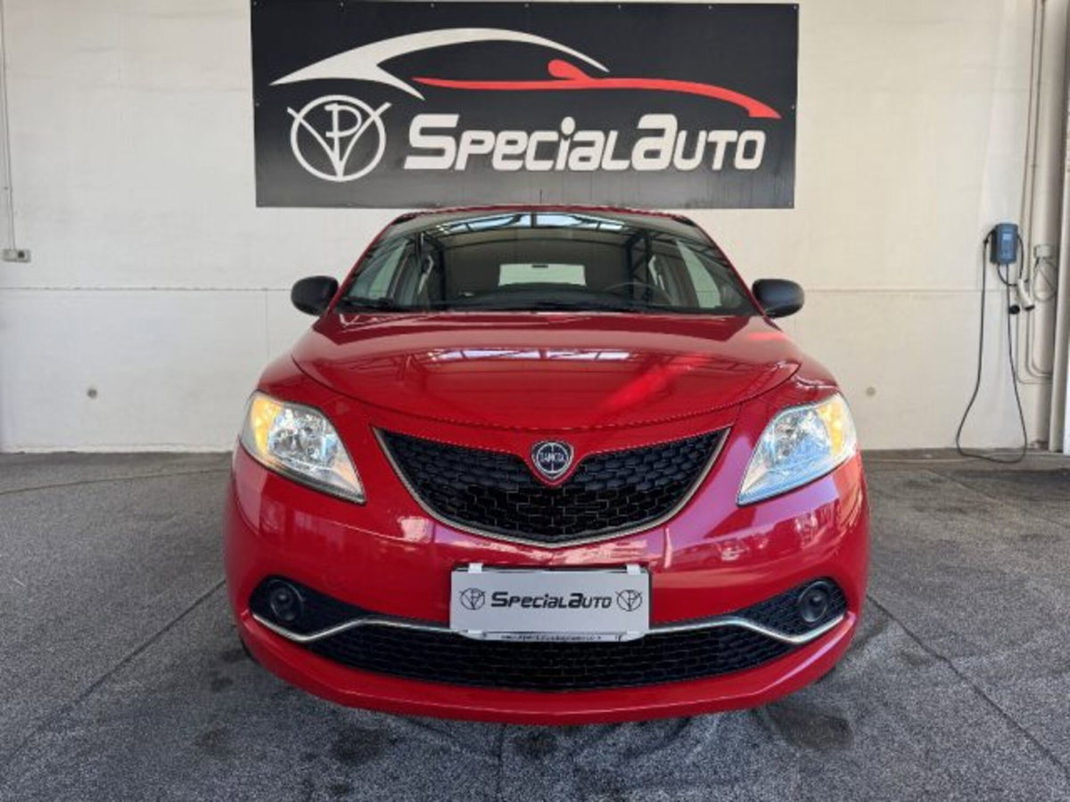 Lancia Ypsilon 1.2 69 CV 5 porte Platinum (15)