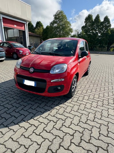 Fiat Panda 1.2 EasyPower Sport usata