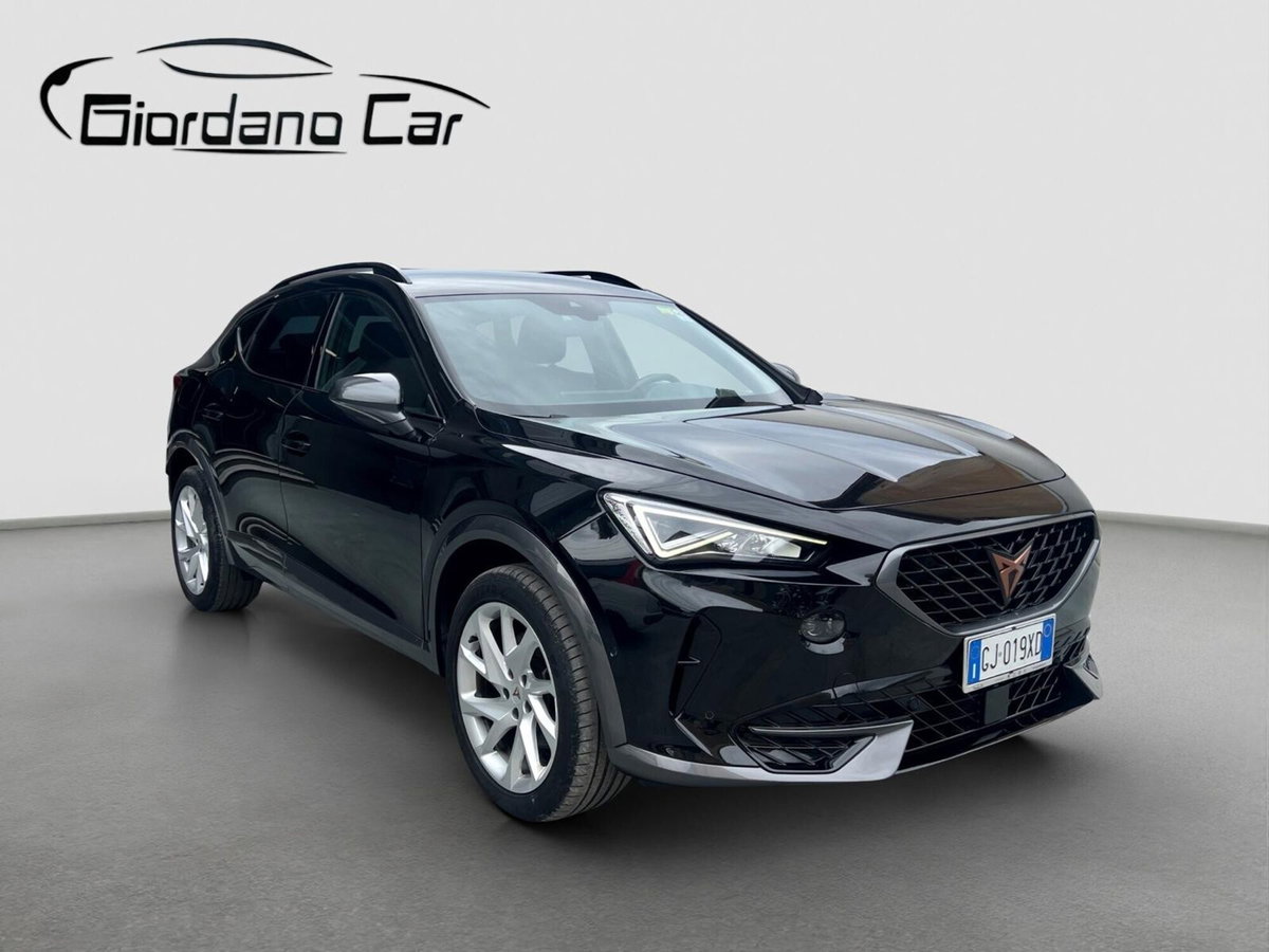 Cupra Formentor Formentor 2.0 tdi 4drive 150cv dsg (3)