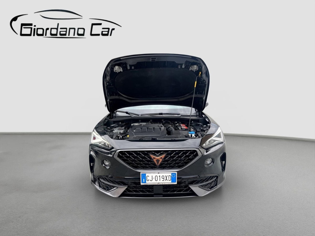 Cupra Formentor Formentor 2.0 tdi 4drive 150cv dsg (4)