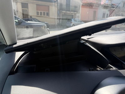 Citroen C4 Picasso 1.6 HDi 110 FAP Exclusive (19)