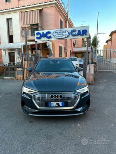 Audi e-tron 50 quattro Business (6)