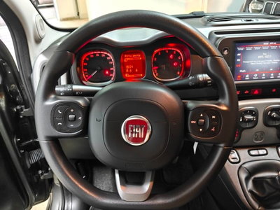 Fiat Panda Cross Cross 0.9 TwinAir Turbo S&S 4x4 (8)
