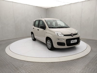 Fiat Panda 1.2 Easy usata