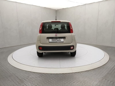 Fiat Panda 1.2 Easy (5)