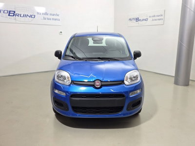 Fiat Panda 1.0 FireFly S&S Hybrid Easy (2)