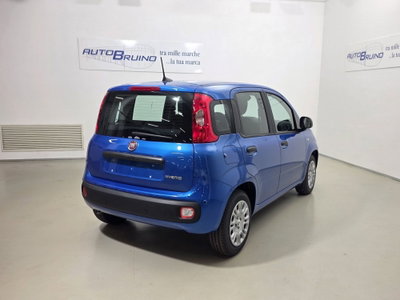 Fiat Panda 1.0 FireFly S&S Hybrid Easy (5)