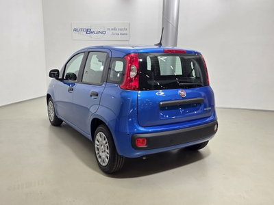 Fiat Panda 1.0 FireFly S&S Hybrid Easy (7)
