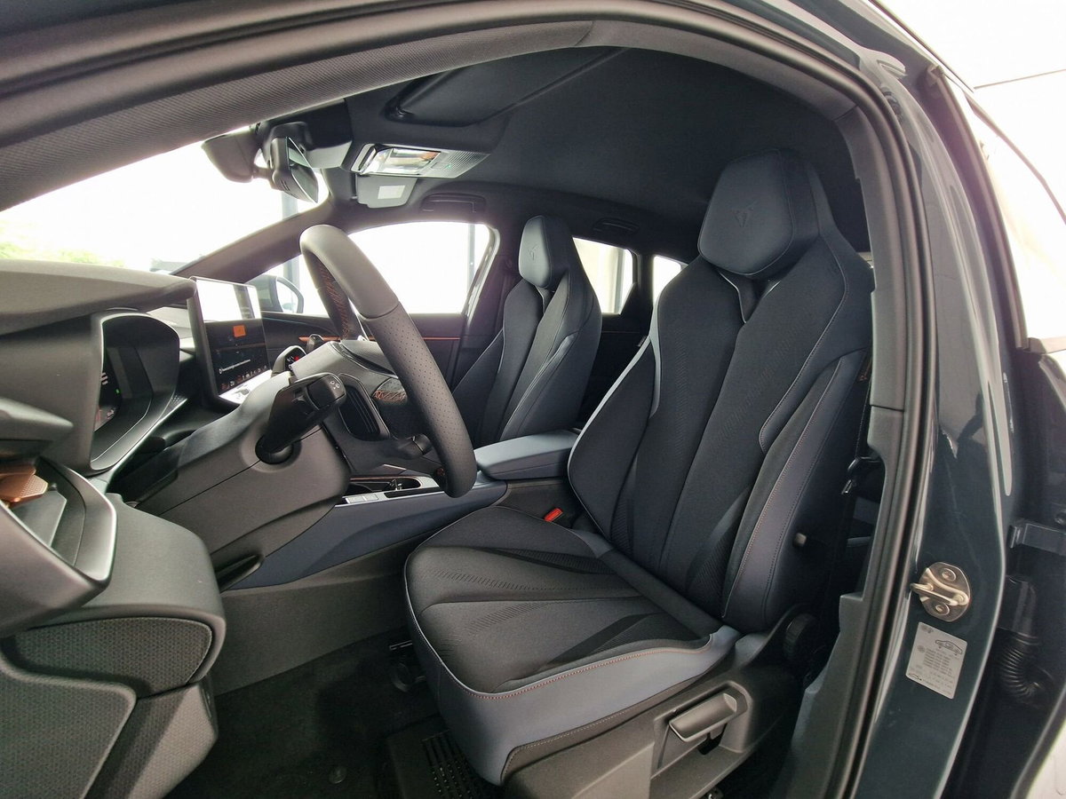 Cupra Terramar 1.5 hybrid 150cv dsg (11)
