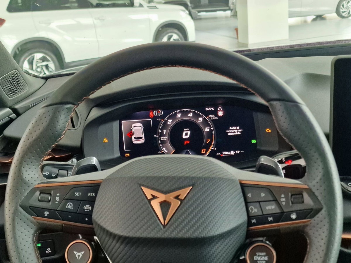 Cupra Terramar 1.5 hybrid 150cv dsg (14)