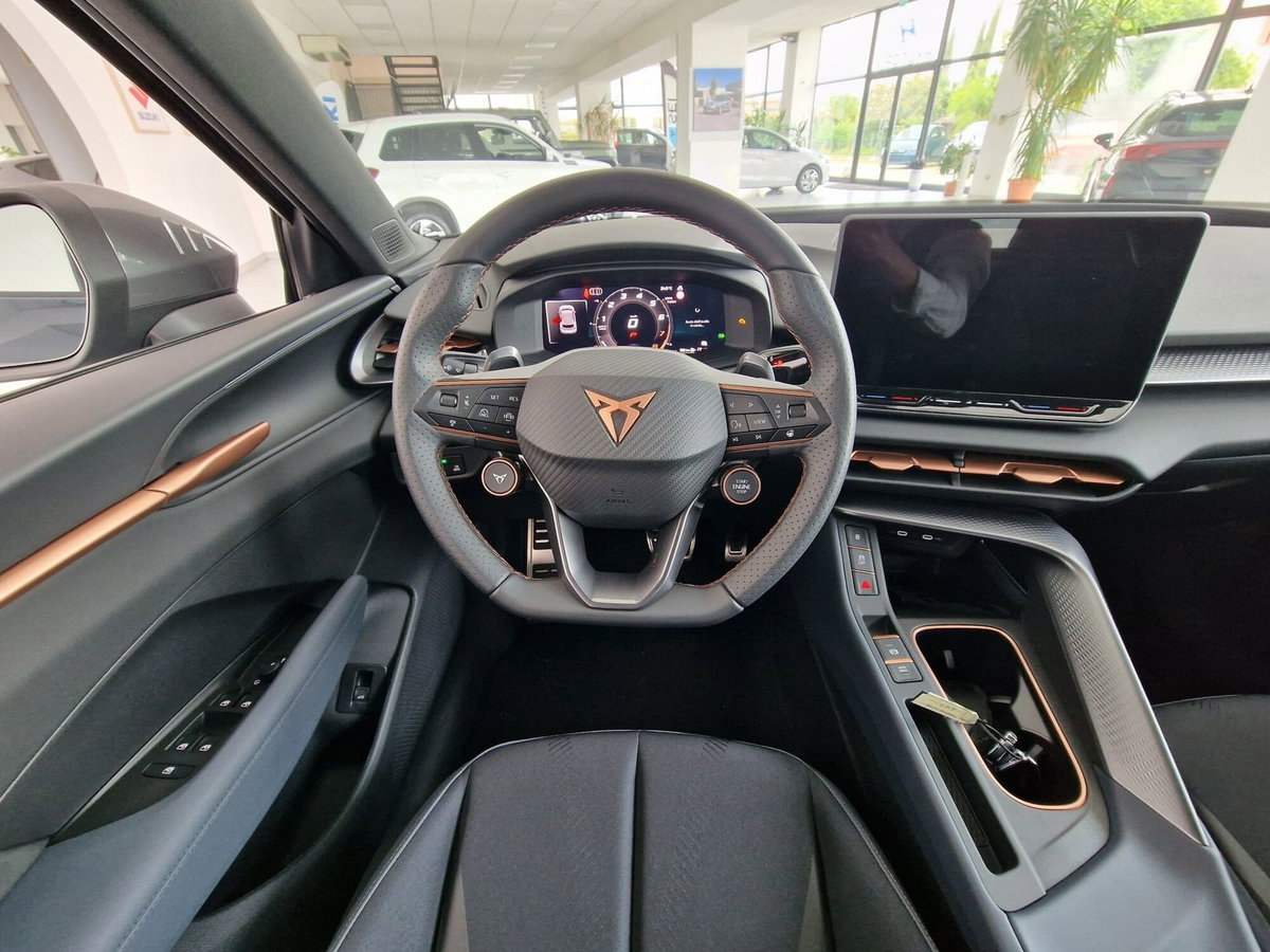 Cupra Terramar 1.5 hybrid 150cv dsg (15)