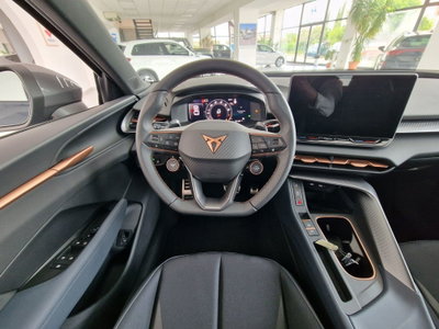 Cupra Terramar 1.5 hybrid 150cv dsg (15)