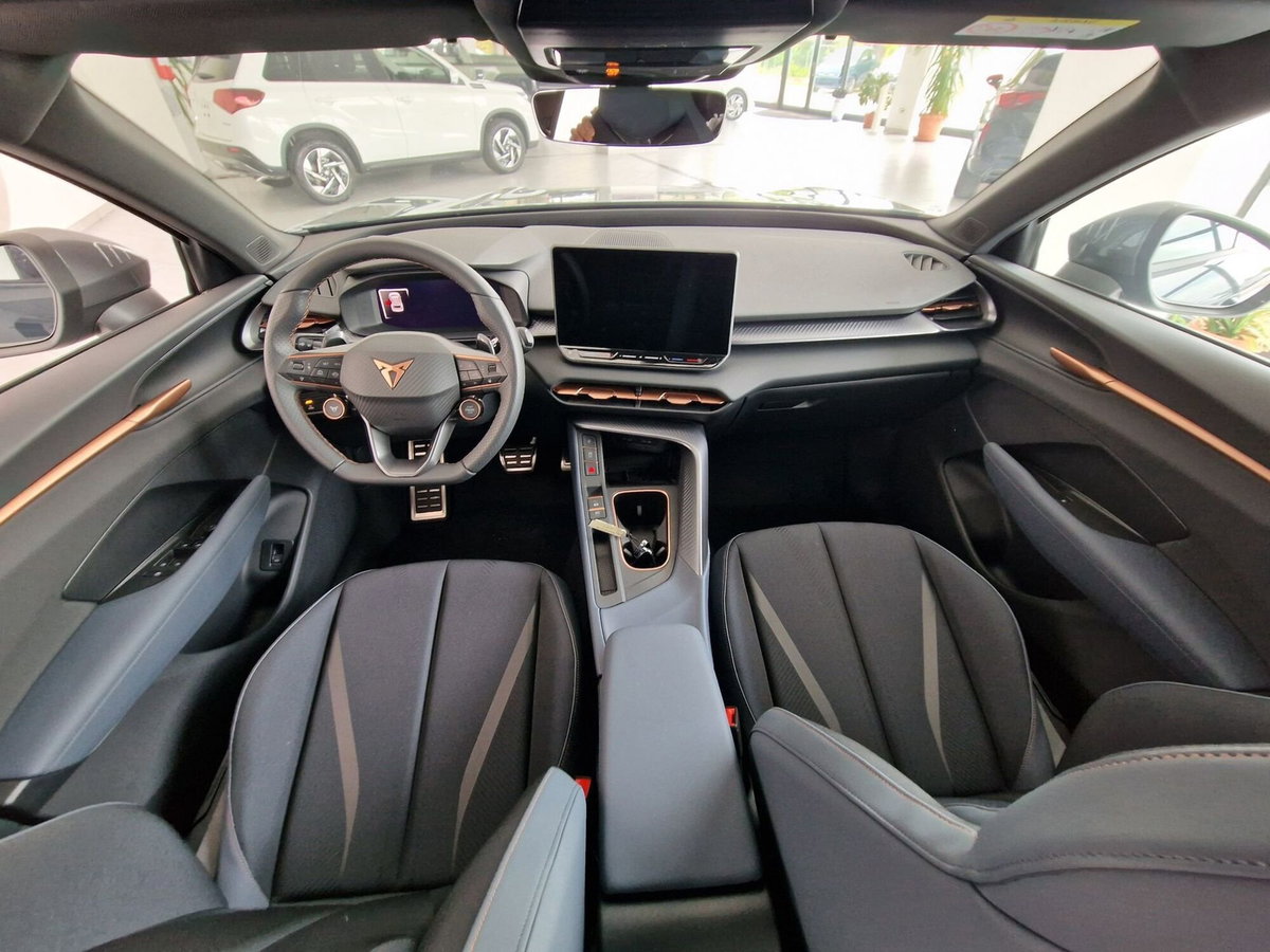 Cupra Terramar 1.5 hybrid 150cv dsg (16)