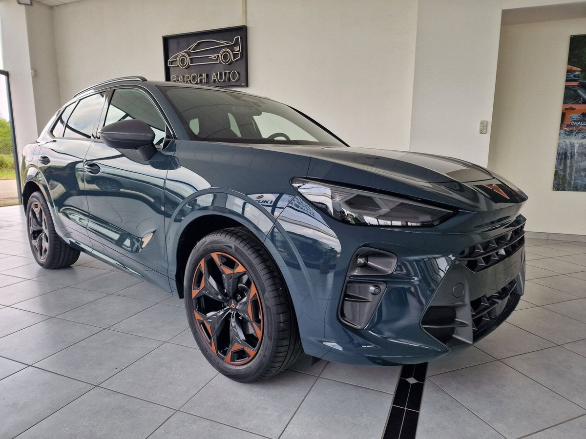 Cupra Terramar 1.5 hybrid 150cv dsg (3)