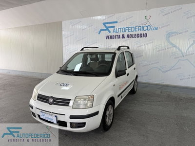 Fiat Panda 1.2 Van Active 2 posti