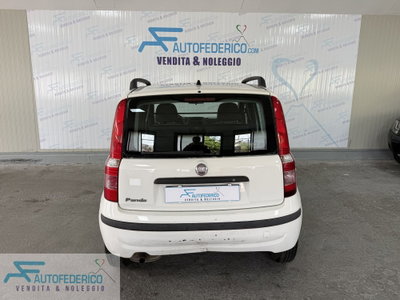 Fiat Panda 1.2 Van Active 2 posti (5)
