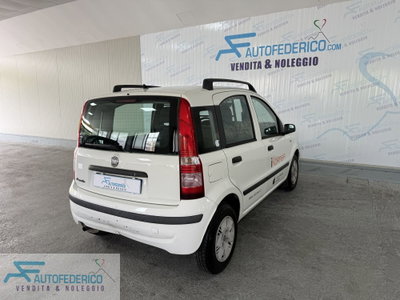 Fiat Panda 1.2 Van Active 2 posti (6)
