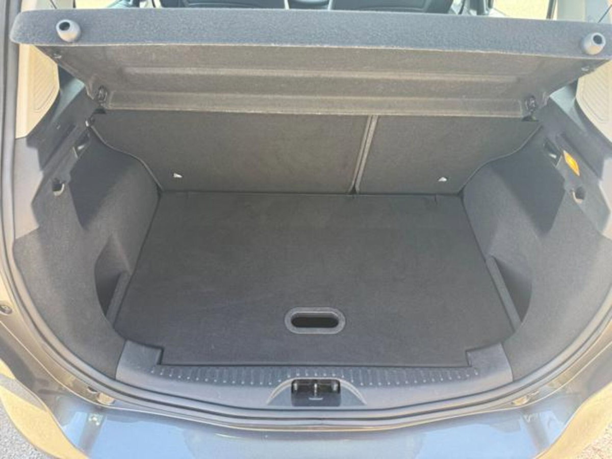 Ford B-Max B-Max 1.0 EcoBoost 100 CV Plus (15)
