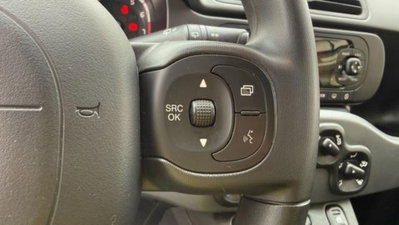 Fiat Panda Cross 1.0 firefly hybrid Cross s&s 70cv 5p.ti (10)