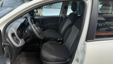 Fiat Panda Cross 1.0 firefly hybrid Cross s&s 70cv 5p.ti (14)
