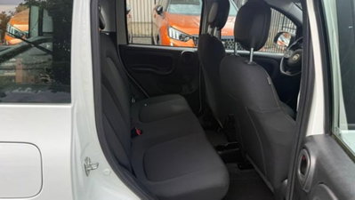 Fiat Panda Cross 1.0 firefly hybrid Cross s&s 70cv 5p.ti (16)