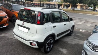 Fiat Panda Cross 1.0 firefly hybrid Cross s&s 70cv 5p.ti (6)